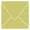 Tropical Green Square Envelope 4 1/4 x 4 1/4 - 25/Pk