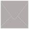 Wealth Square Envelope 4 1/4 x 4 1/4 - 25/Pk