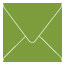 Iguana Square Envelope 5 x 5 - 25/Pk