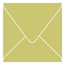 Tropical Green Square Envelope 5 x 5 - 25/Pk