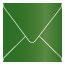 Botanic Square Envelope 5 x 5 - 25/Pk