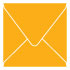 Bumble Bee Square Envelope 5 1/2 x 5 1/2 - 25/Pk