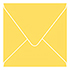 Lemon Drop Square Envelope 5 1/2 x 5 1/2 - 25/Pk