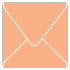 Ginger Square Envelope 5 1/2 x 5 1/2 - 25/Pk