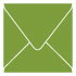 Iguana Square Envelope 5 1/2 x 5 1/2 - 25/Pk
