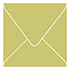 Tropical Green Square Envelope 5 1/2 x 5 1/2 - 25/Pk