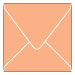 Ginger Square Envelope 6 x 6 - 25/Pk