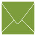 Iguana Square Envelope 6 x 6 - 25/Pk