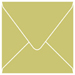 Tropical Green Square Envelope 6 x 6 - 25/Pk