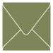 Cactus Square Envelope 6 x 6 - 25/Pk