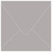 Wealth Square Envelope 6 x 6 - 25/Pk