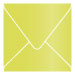 Lime Square Envelope 6 x 6 - 25/Pk