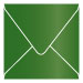 Botanic Square Envelope 6 x 6 - 25/Pk
