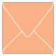 Ginger Square Envelope 6 1/2 x 6 1/2 - 25/Pk