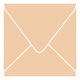 Latte Square Envelope 6 1/2 x 6 1/2 - 25/Pk