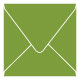 Iguana Square Envelope 6 1/2 x 6 1/2 - 25/Pk