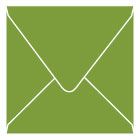 Iguana Square Envelope 6 1/2 x 6 1/2 - 25/Pk