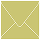 Tropical Green Square Envelope 6 1/2 x 6 1/2 - 25/Pk