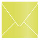 Lime Square Envelope 6 1/2 x 6 1/2 - 25/Pk