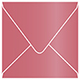 Azalea Square Envelope 6 1/2 x 6 1/2 - 25/Pk
