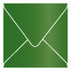 Botanic Square Envelope 6 1/2 x 6 1/2 - 25/Pk