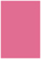 Peony Flat Card 3 1/2 x 5 - 25/Pk