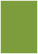 Iguana Flat Card 3 1/2 x 5 - 25/Pk