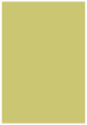 Tropical Green Flat Card 3 1/2 x 5 - 25/Pk