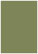 Cactus Flat Card 3 1/2 x 5 - 25/Pk