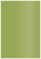 Fairway Flat Card 3 1/2 x 5 - 25/Pk