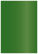 Botanic Flat Card 3 1/2 x 5 - 25/Pk