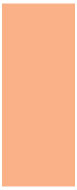 Ginger Flat Card 3 3/4 x 8 7/8 - 25/Pk