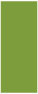 Iguana Flat Card 3 3/4 x 8 7/8 - 25/Pk