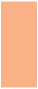 Ginger Flat Card 3 3/4 x 8 3/4 - 25/Pk