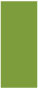 Iguana Flat Card 3 3/4 x 8 3/4 - 25/Pk
