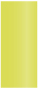 Lime Flat Card 3 3/4 x 8 3/4 - 25/Pk
