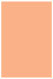 Ginger Flat Card 4 3/4 x 6 3/4 - 25/Pk