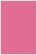 Peony Flat Card 4 3/4 x 6 3/4 - 25/Pk