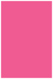 Raspberry Flat Card 4 3/4 x 6 3/4 - 25/Pk