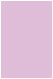 Purple Lace Flat Card 4 3/4 x 6 3/4 - 25/Pk