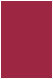 Pomegranate Flat Card 4 3/4 x 6 3/4 - 25/Pk