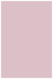 Lily Flat Card 4 3/4 x 6 3/4 - 25/Pk
