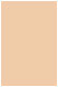 Latte Flat Card 4 3/4 x 6 3/4 - 25/Pk