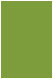 Iguana Flat Card 4 3/4 x 6 3/4 - 25/Pk