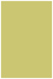 Tropical Green Flat Card 4 3/4 x 6 3/4 - 25/Pk