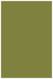 Olive Flat Card 4 3/4 x 6 3/4 - 25/Pk