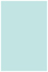 Daffy Blue Flat Card 4 3/4 x 6 3/4 - 25/Pk