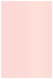 Rose Flat Card 4 3/4 x 6 3/4 - 25/Pk