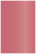 Azalea Flat Card 4 3/4 x 6 3/4 - 25/Pk