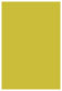 5 1/4 x 8
